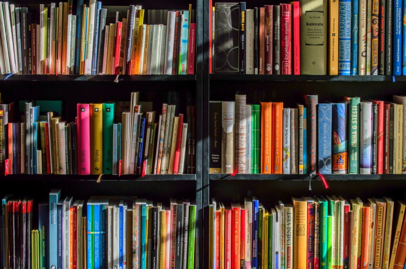ecommerce-BIOT-min_books_bookstore_book_reading_shop_writer_sale_books_read-822866